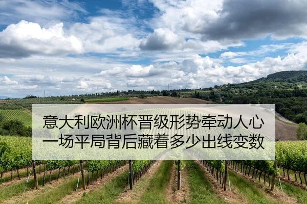 意大利欧洲杯晋级形势牵动人心 一场平局背后藏着多少出线变数